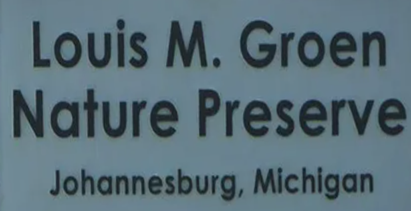 Louis M Groen